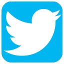 Twitter Social Logo